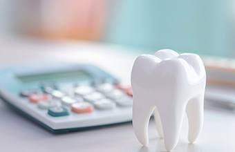 Large model tooth next to calculator